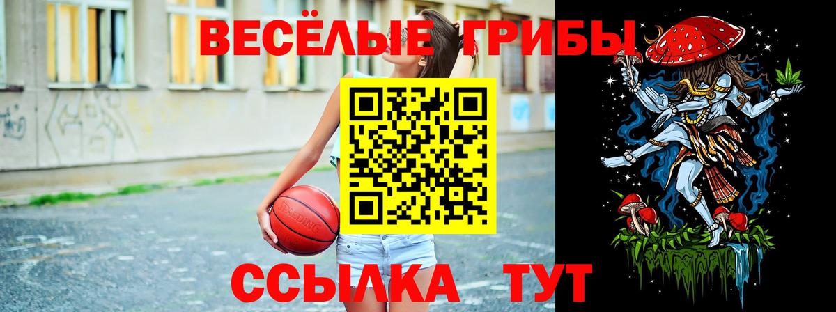 Галлюциногенные грибы Cubensis Москва